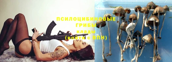 тгк Алексеевка