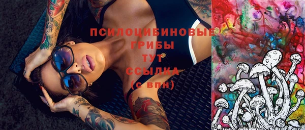 Альфа ПВП Дмитровск