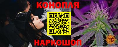 прущие крисы Краснознаменск