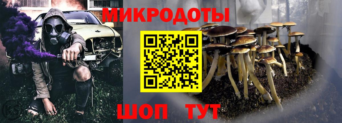 Галлюциногенные грибы MAGIC MUSHROOMS Заводоуковск