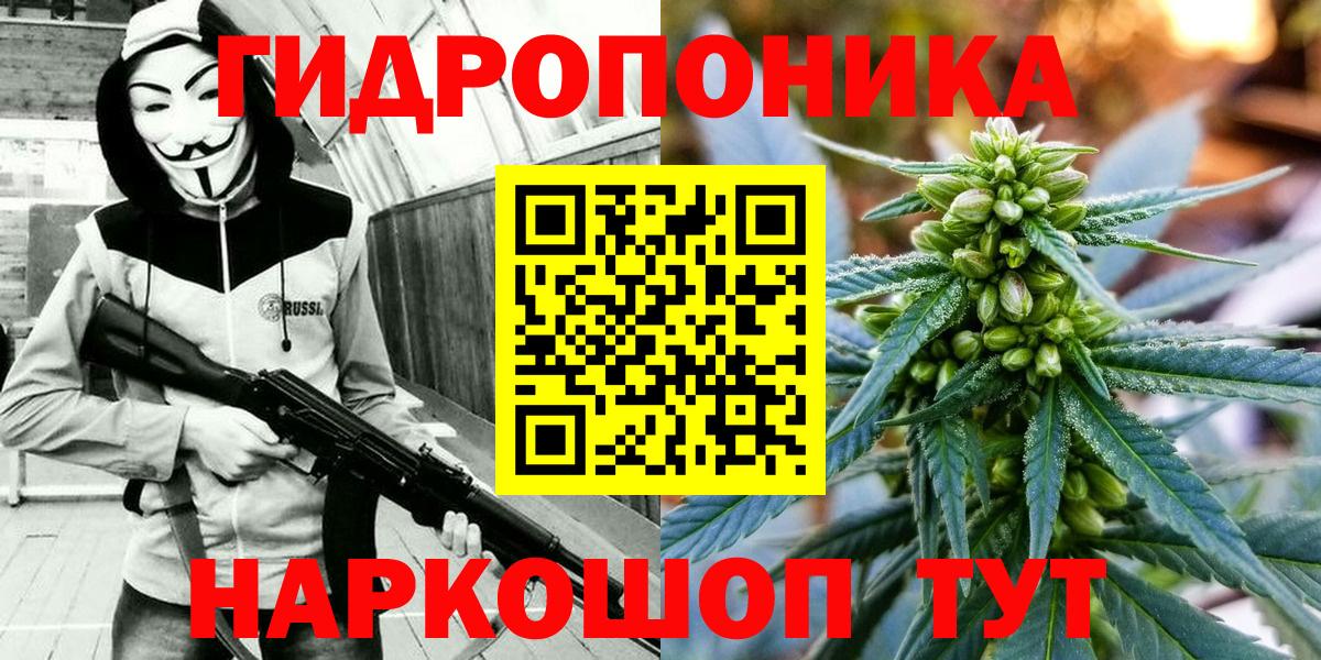 Марихуана AK-47  Канабис план  Марихуана Ganja  Заводоуковск  Конопля сатива  Вход с VPN 